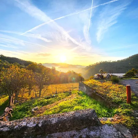 Apartment Casa Monti *